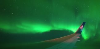 Stunning Southern Lights Over Dunedin in New Zealand