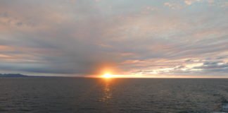 Something to Give Thanks for This Holiday Season