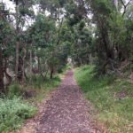 BacchusMarsh16
