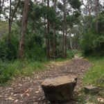 BacchusMarsh17