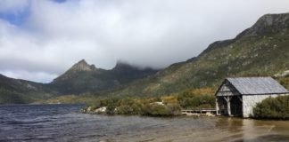 Why Do We Love to Travel: Explained