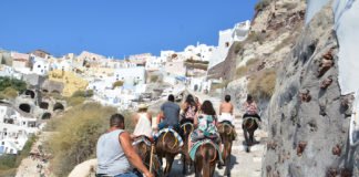 Banned: Overweight Tourists to Santorini Santorini steps and donkeys
