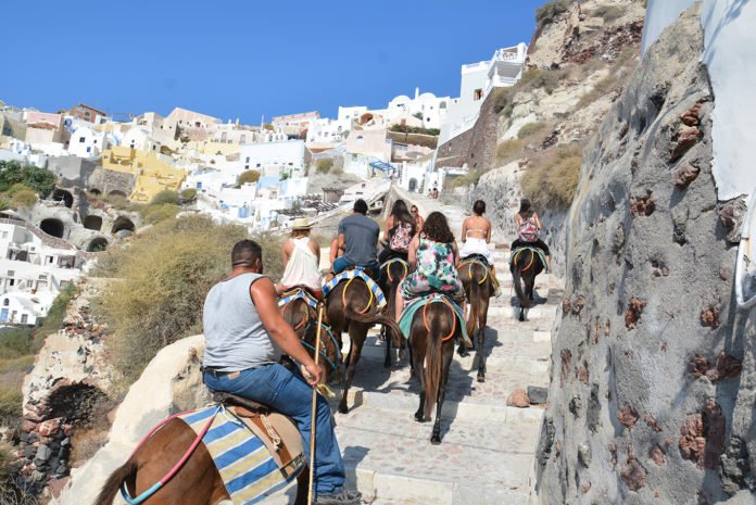 Santorini steps and donkeys