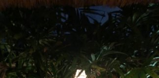 Affordable Retirement at a Hilton