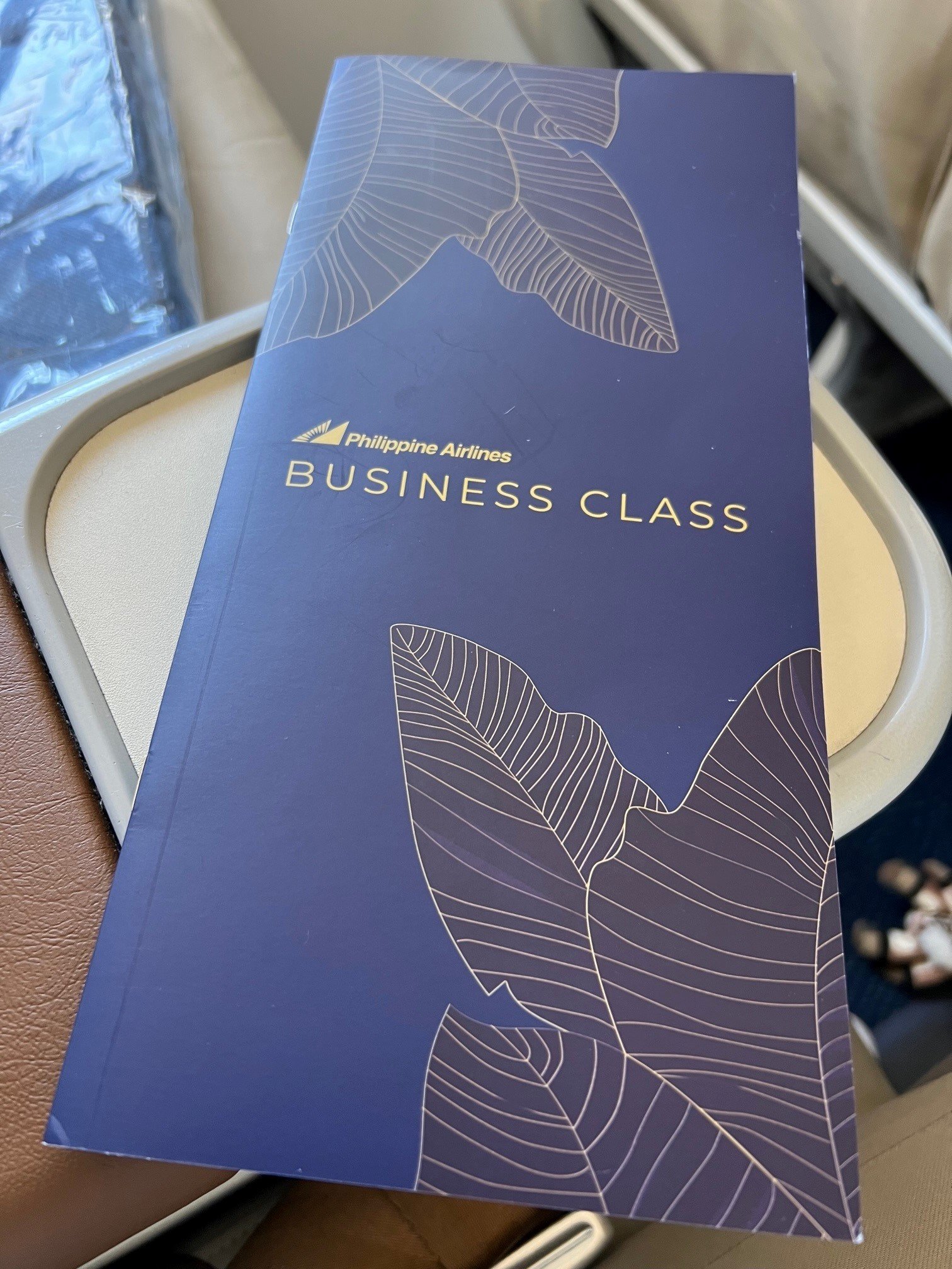 Flight Review: PR502/PR209 – SIN-MNL-MEL – Philippine Airlines Business ...