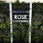 rosecip