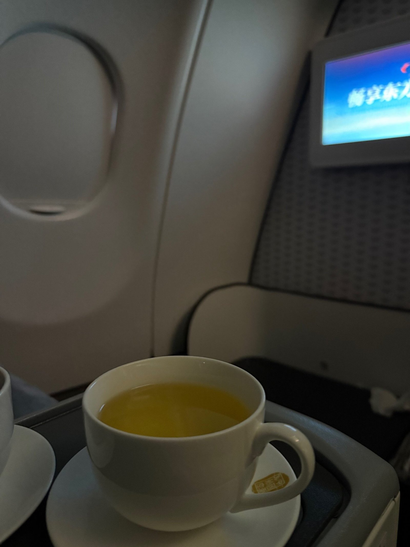 Flight Review: MU546 Singapore Changi - Shanghai Pudong A330 Business ...