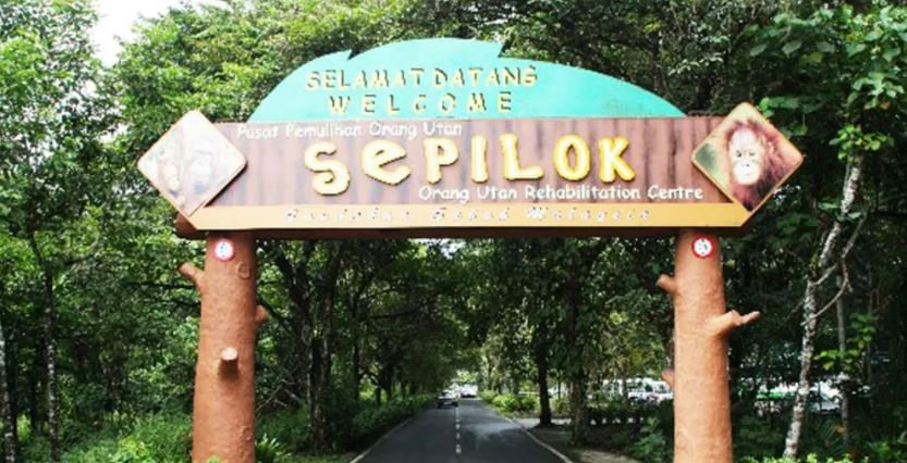 A Day at Sepilok Orang Utan Sanctuary, Sandakan 1 The Seat in the Middle 1