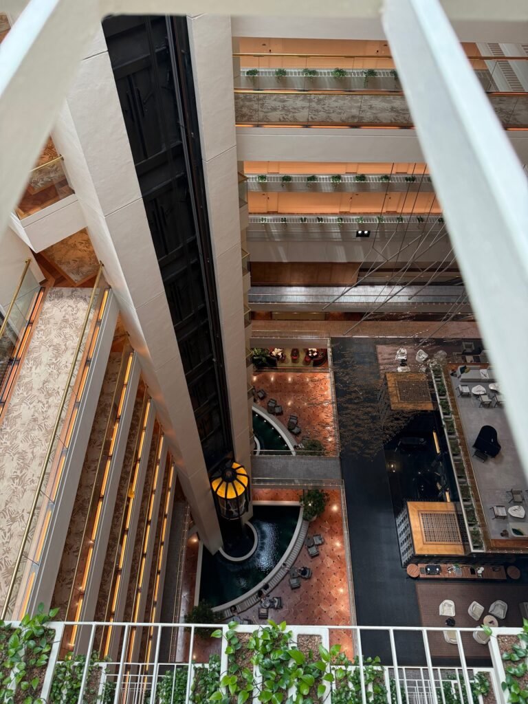 The Seat in the Middle 31