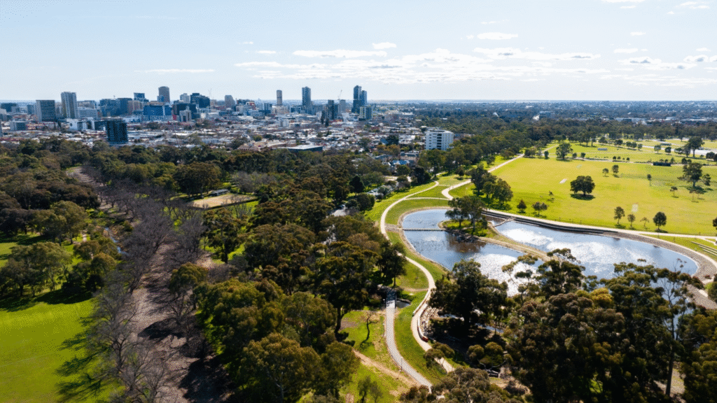 The Seat in the Middle 1