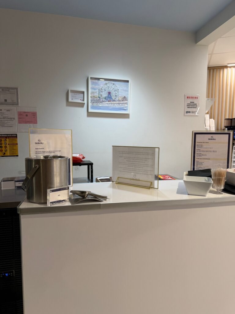 Lounge Review: HelloSky Lounge, JFK International Airport Terminal 4 4 The Seat in the Middle 4