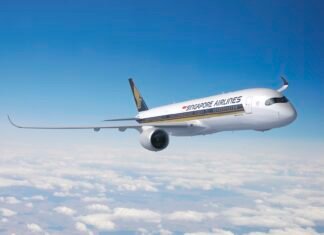 The Seat in the Middle 1