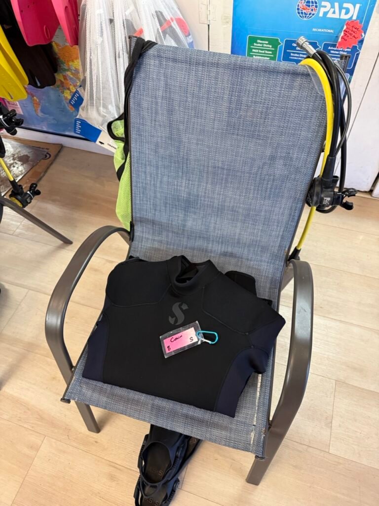 The Seat in the Middle 1