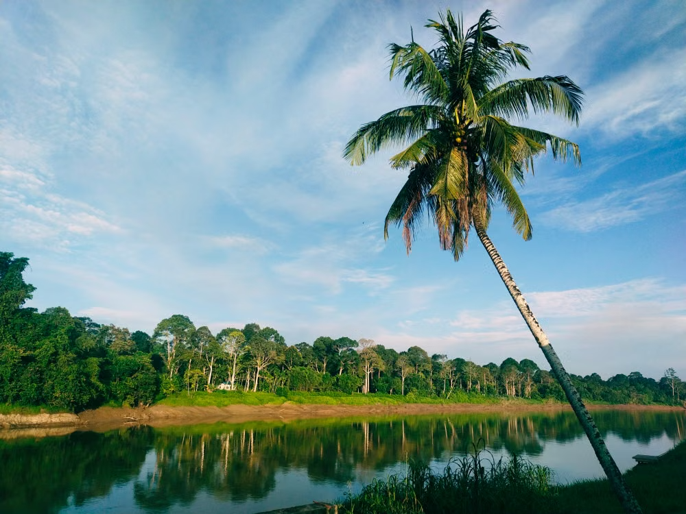 Borneo on Your Doorstep: How AirBorneo’s New Daily Kuching–Singapore Flights Open Up Effortless 2026 Escapes 2 The Seat in the Middle 2