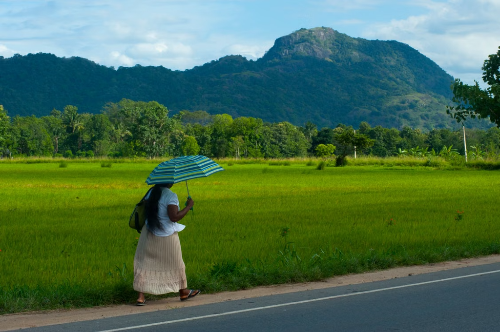 How a New Nonstop From Melbourne Turns Sri Lanka Into Australia’s Next Easy Winter Escape 2 The Seat in the Middle 2