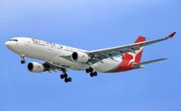 Qantas Grounds Dreamliner in Rome After Bed Bugs on Perth Flight: How to Avoid Them pexels-photo-17801580.jpeg